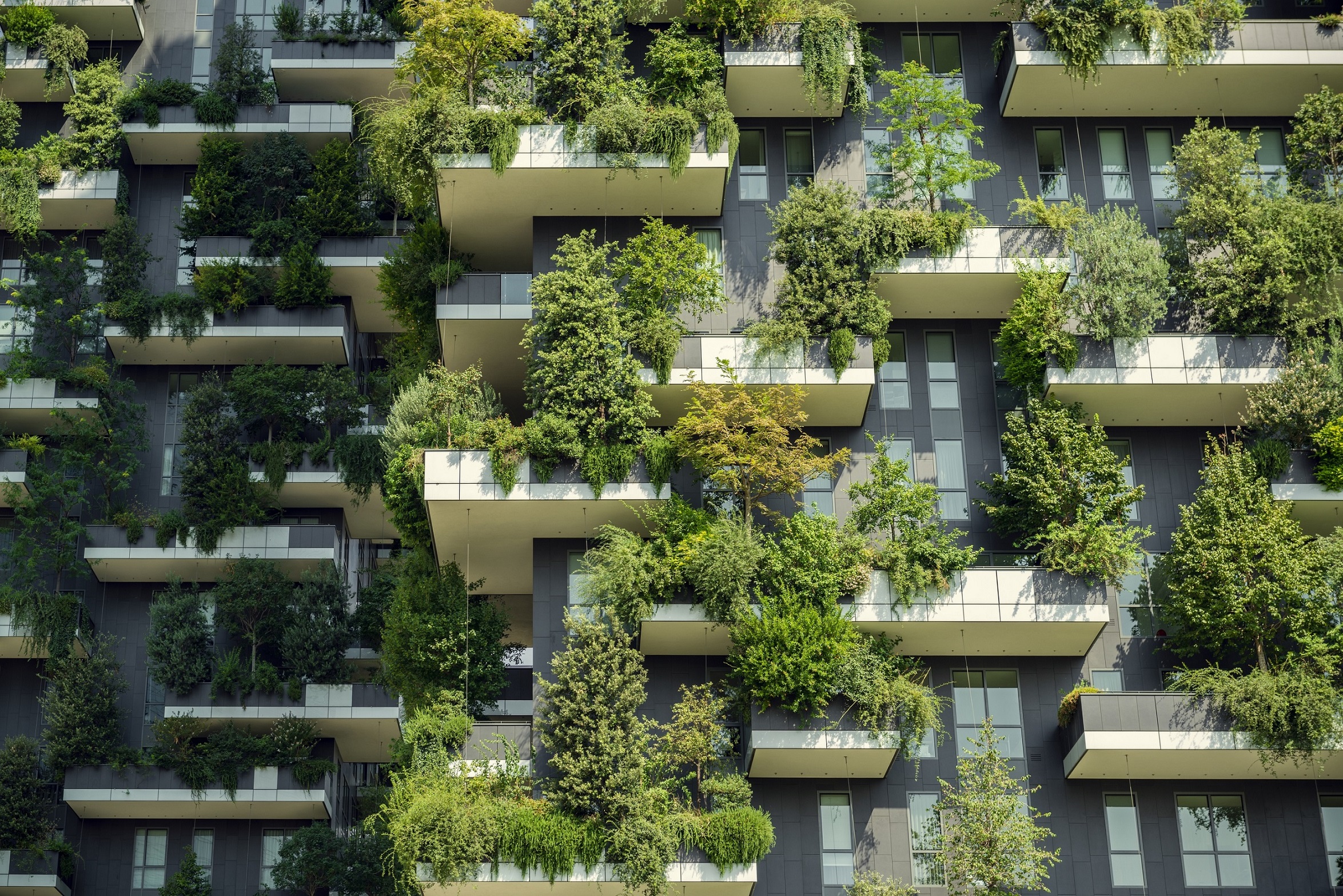 Low Carbon